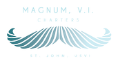 Magnum VI